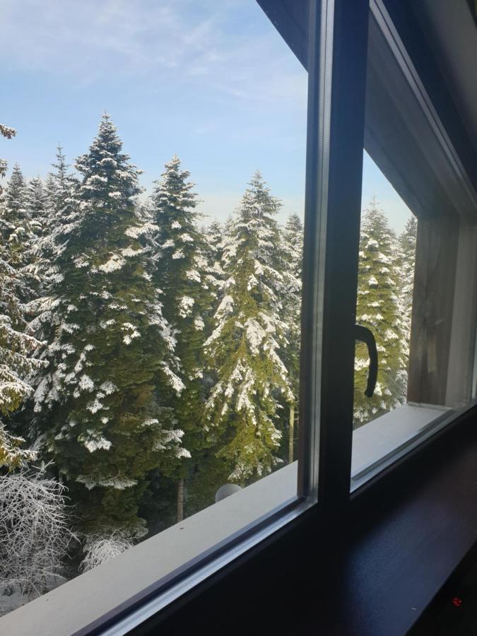 Borovets Forest View Extérieur photo