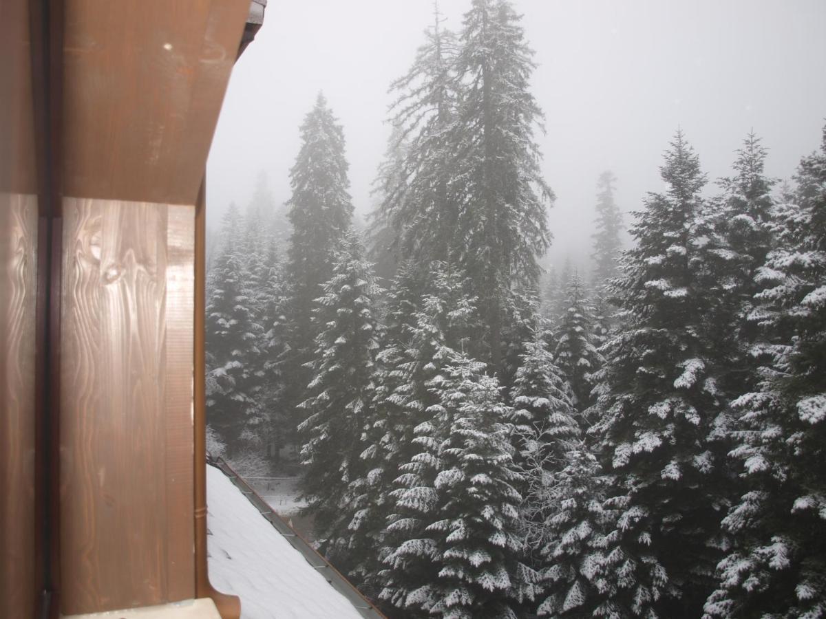 Borovets Forest View Extérieur photo