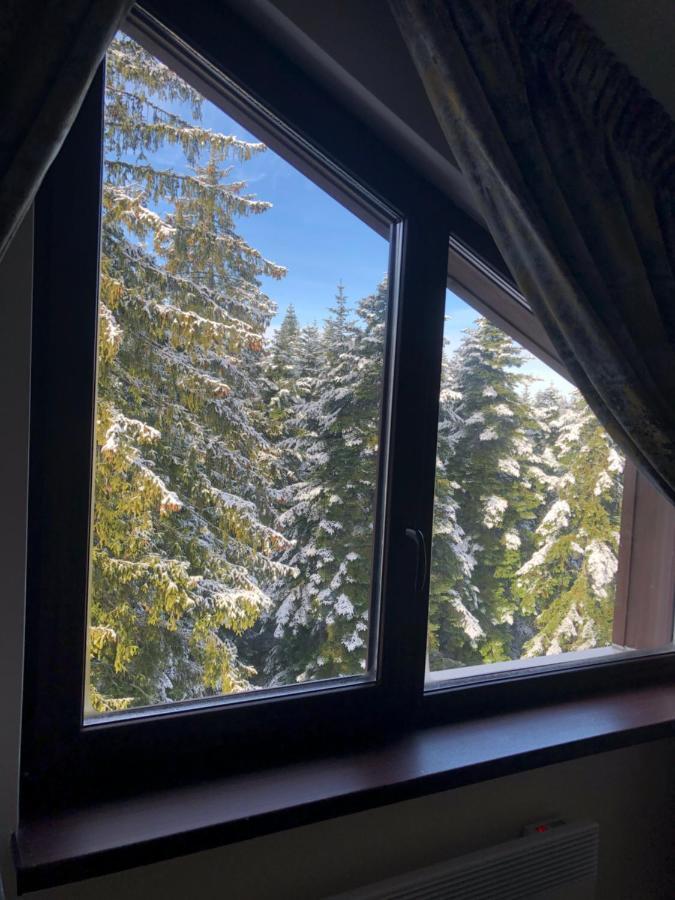 Borovets Forest View Extérieur photo