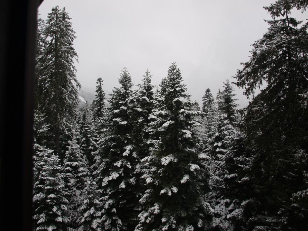 Borovets Forest View Extérieur photo
