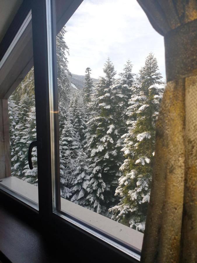 Borovets Forest View Extérieur photo